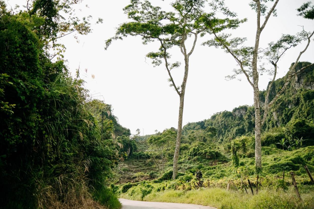 150 Peakway Mountain Resort Dalaguete Exteriér fotografie