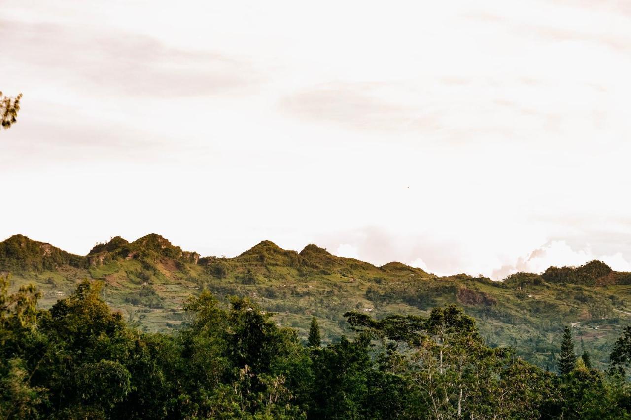 150 Peakway Mountain Resort Dalaguete Exteriér fotografie